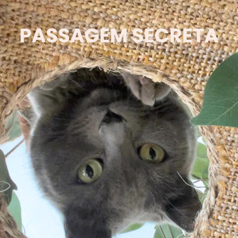 1.8m Natural Tree Cat Tower|Handcrafted Multi-Level Cat Climbing Tree for Indoor Cats