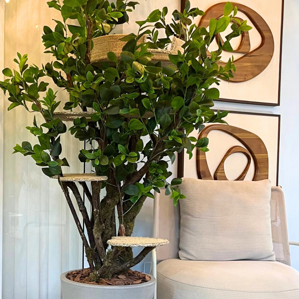 1.8m Natural Tree Cat Tower｜Handcrafted Multi-Level Cat Climbing Tree for Indoor Cats