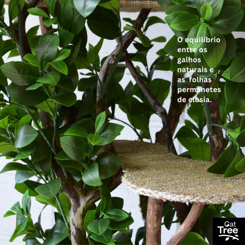 1.8m Natural Tree Cat Tower｜Handcrafted Multi-Level Cat Climbing Tree for Indoor Cats