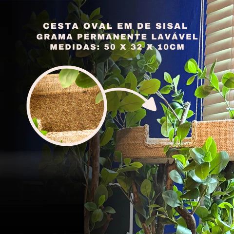 1.8m Natural Tree Cat Tower｜Handcrafted Multi-Level Cat Climbing Tree for Indoor Cats