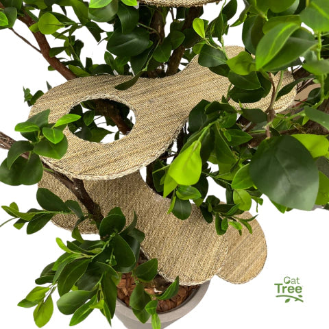 1.8m Natural Tree Cat Tower｜Handcrafted Multi-Level Cat Climbing Tree for Indoor Cats