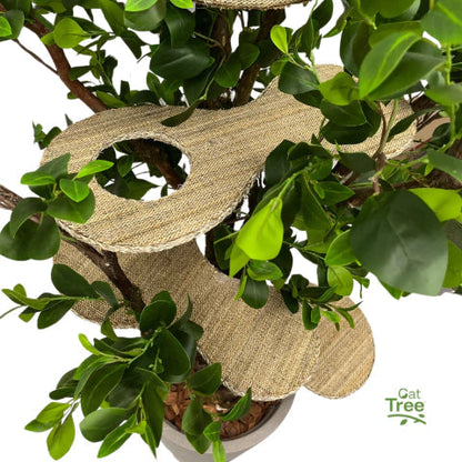 1.8m Natural Tree Cat Tower｜Handcrafted Multi-Level Cat Climbing Tree for Indoor Cats
