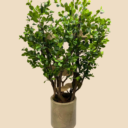 Bungalow Style Cat Tree | 2.20m