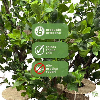 Bungalow Style Cat Tree | 2.20m