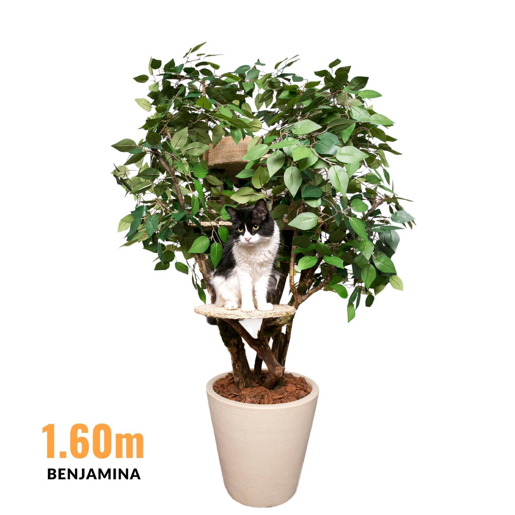 1.6m Natural Tree Cat Tower with Real Wood Trunks & Sisal Platforms