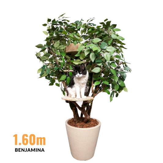 1.6m Natural Tree Cat Tower with Real Wood Trunks & Sisal Platforms