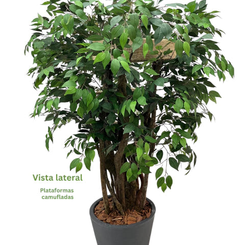 1.6m Natural Tree Cat Tower with Real Wood Trunks & Sisal Platforms