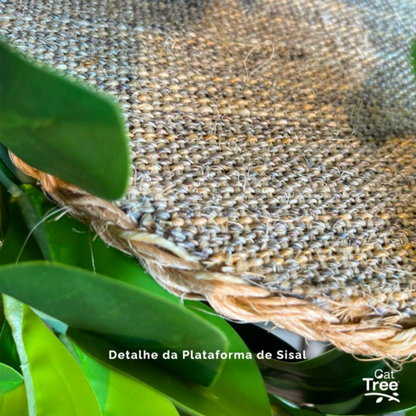 1.6m Natural Tree Cat Tower with Real Wood Trunks & Sisal Platforms