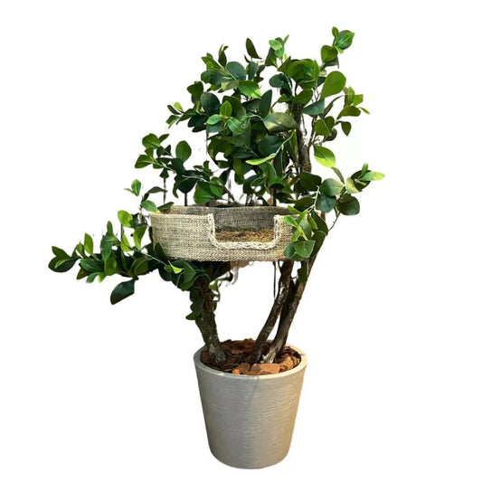 1.1m Natural Tree Mini Cat Tower｜Compact Indoor Cat Tree for Single Cats